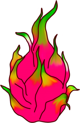 Bluza z kapturem męska Dragon fruit 2
