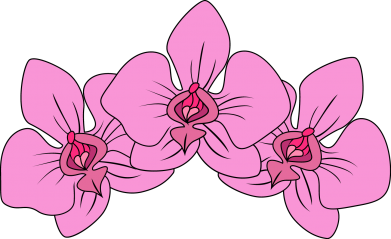 Bluza z kapturem męska Orchid flowers 2