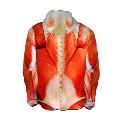 Dziecięce kurtki lekkie Fullprint Muscle suit 2