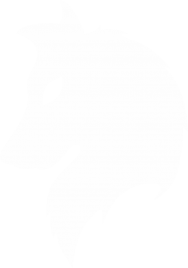 Koszulka męska Promo z wilkami Wilk Alpha 2