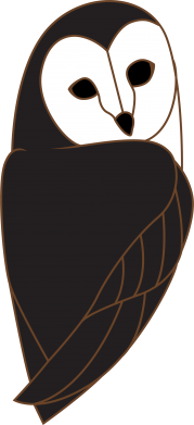 Koszulka dziecięca z sowami Black owl 2