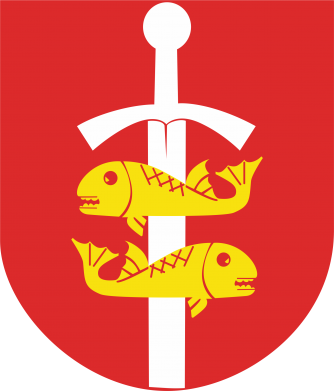 Koszulka oversize Gdynia herb 2