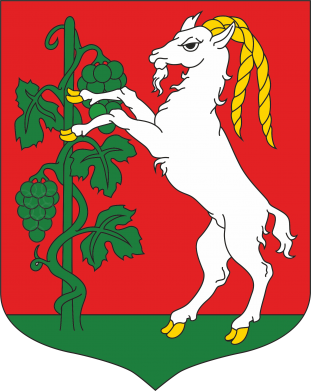 Koszulka damska Lublin herb 2
