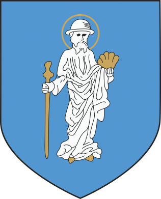 Koszulka damska Olsztyn herb 2