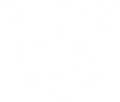 Koszulka dziecięca z panterami Panther black 2