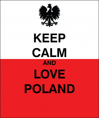 Bluza z kapturem męska Polska flaga z napisem 2