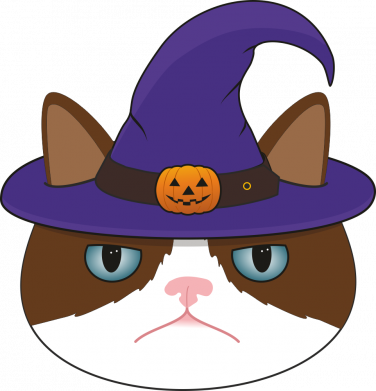 Bluza z kapturem męska na Halloween Displeased cat with a hat 2