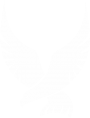 Naszywka okrągła Latający orzeł 2