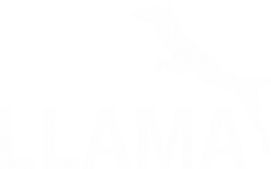 Bluza z kapturem męska z alpakami i lamami Lama is jumping 2