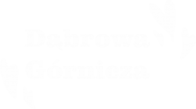 Koszulka męska Dąbrowa Górnicza 2