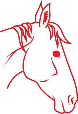 Koszulka męska z końmi Horse portrait lines profile 2