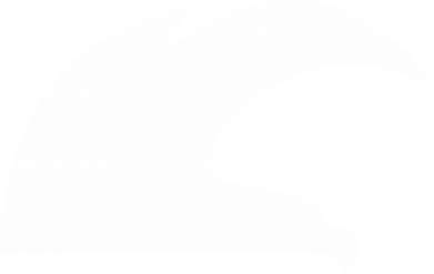 Naszywka tarcza Orzeł cień 2