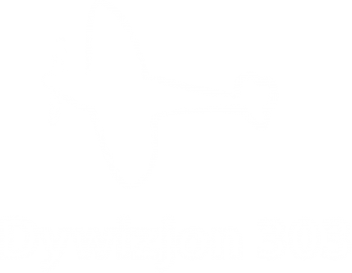 Koszulka damska Polska. Dywizjon 303 2
