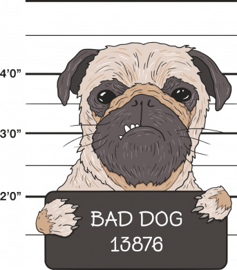Bluza z kapturem męska z psami bad dog 2