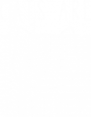 Bluza z kapturem męska z kotami Cats are forever 2