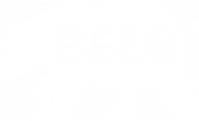Etui na iPhone 16 Plus beer bear 2