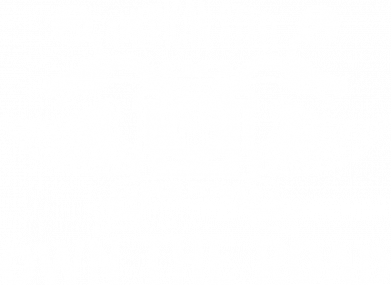 Koszulka damska AMERICAN STILL SUPER POWER DOWN THE ROAD 2