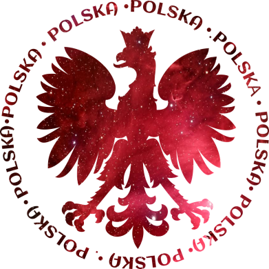 Bluza z kapturem męska Herb Polski i kosmosu 2