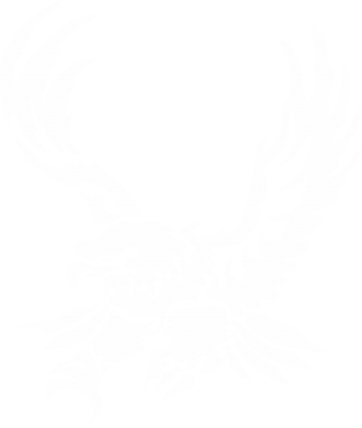 Koszulka dziecięca Big eagle 2