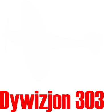 Koszulka dziecięca Dywizjon 303 2