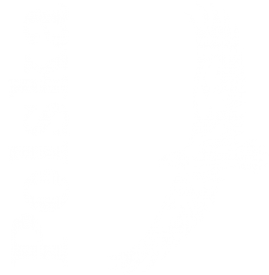 Koszulka damska Polska. Orzeł 2