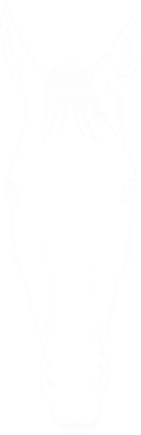 Naszywka okrągła z końmi Horse portrait with lines 2