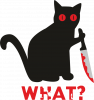 Kot co?