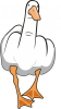 Kacz ci