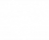 Dog paws