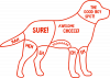 How to pet a dog
