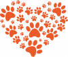 Dog paws