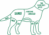 How to pet a dog