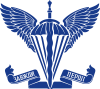 Zawsze pierwszy – emblemat DSHV