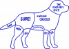 How to pet a dog