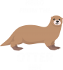 Hello from the otter side
