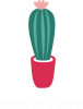 Sweet as a cacti wih flower