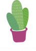 Sweet as a cacti