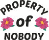 Property of nobody
