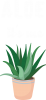 Aloe it's me