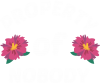 Property of nobody