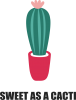 Sweet as a cacti wih flower