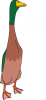 Pingwin australijski