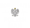 Nigdy nie lekceważ Polaka