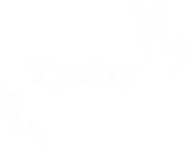 Koszulka męska Promo Tychy 2
