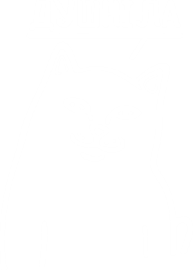 Koszulka męska Dushnila cat 2