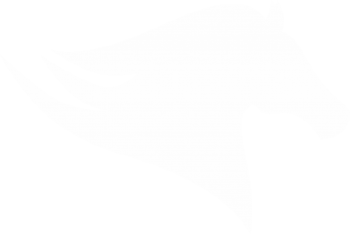 Naszywka prostokątna z końmi Wild Horse 2