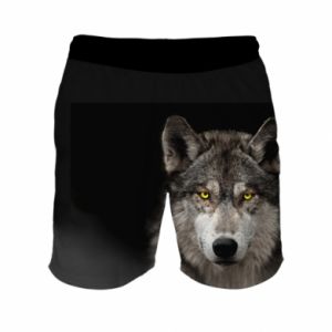 Męskie szorty sportowe Fullprint Wolf with yellow eyes