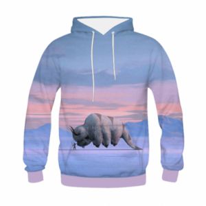Bluzy dziecięce z kapturem fullprint
