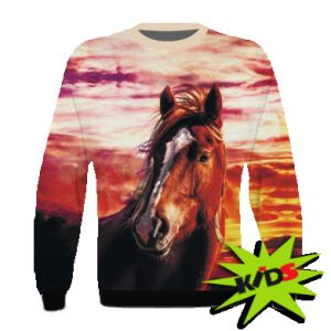 Bluzy dziecięce fullprint