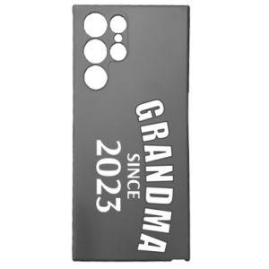 Samsung S22 Ultra